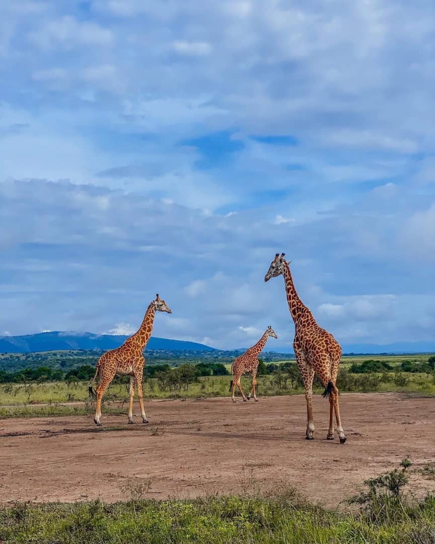 Travel Rwanda